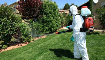 Desinfección y limpieza profesional en Bilbao